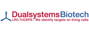 Dualsystems Logo